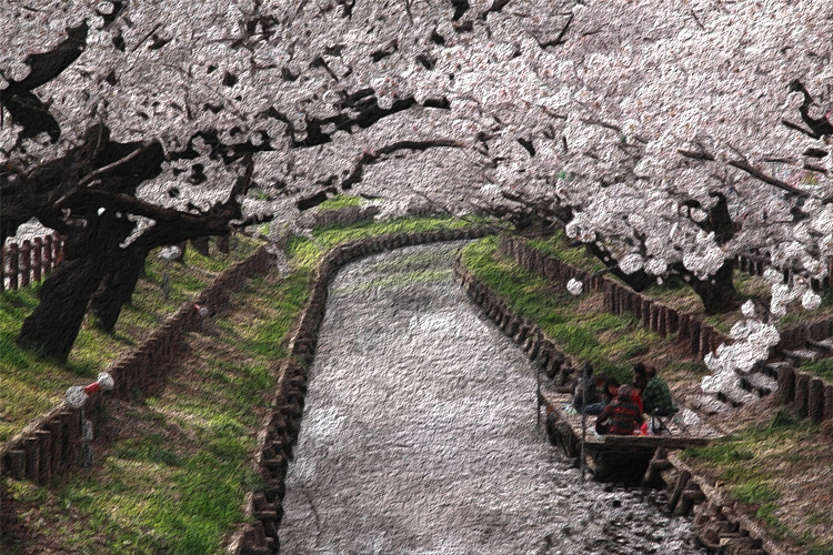 新河岸川の桜並木の画像