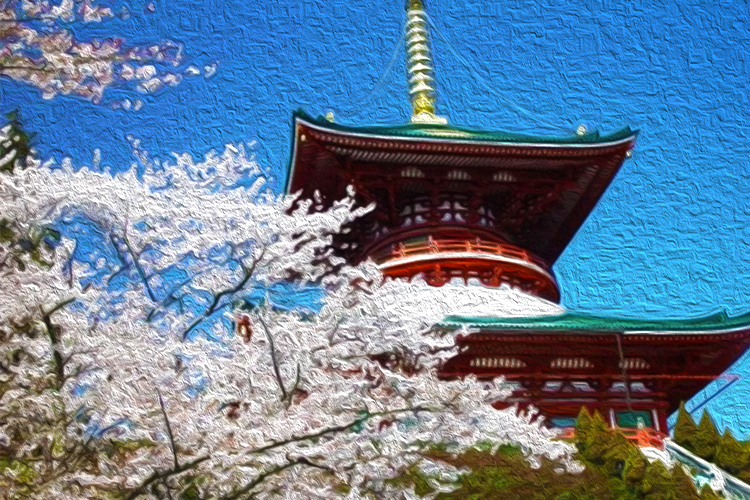 成田山公園の桜の画像