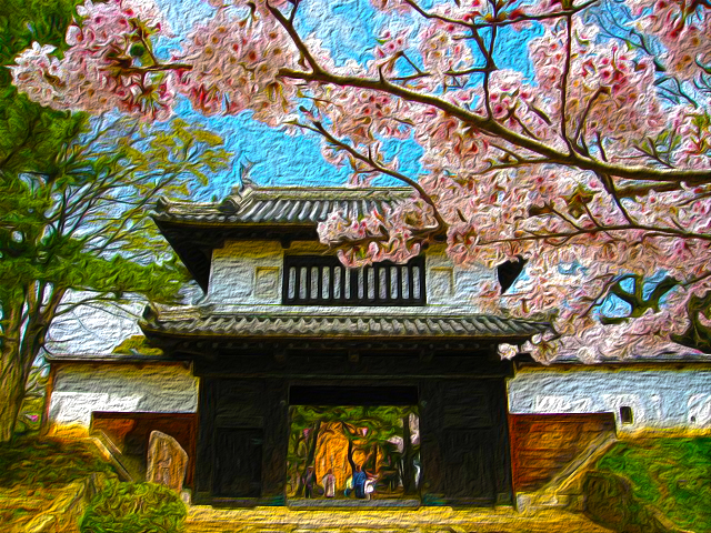 土浦亀城公園の桜